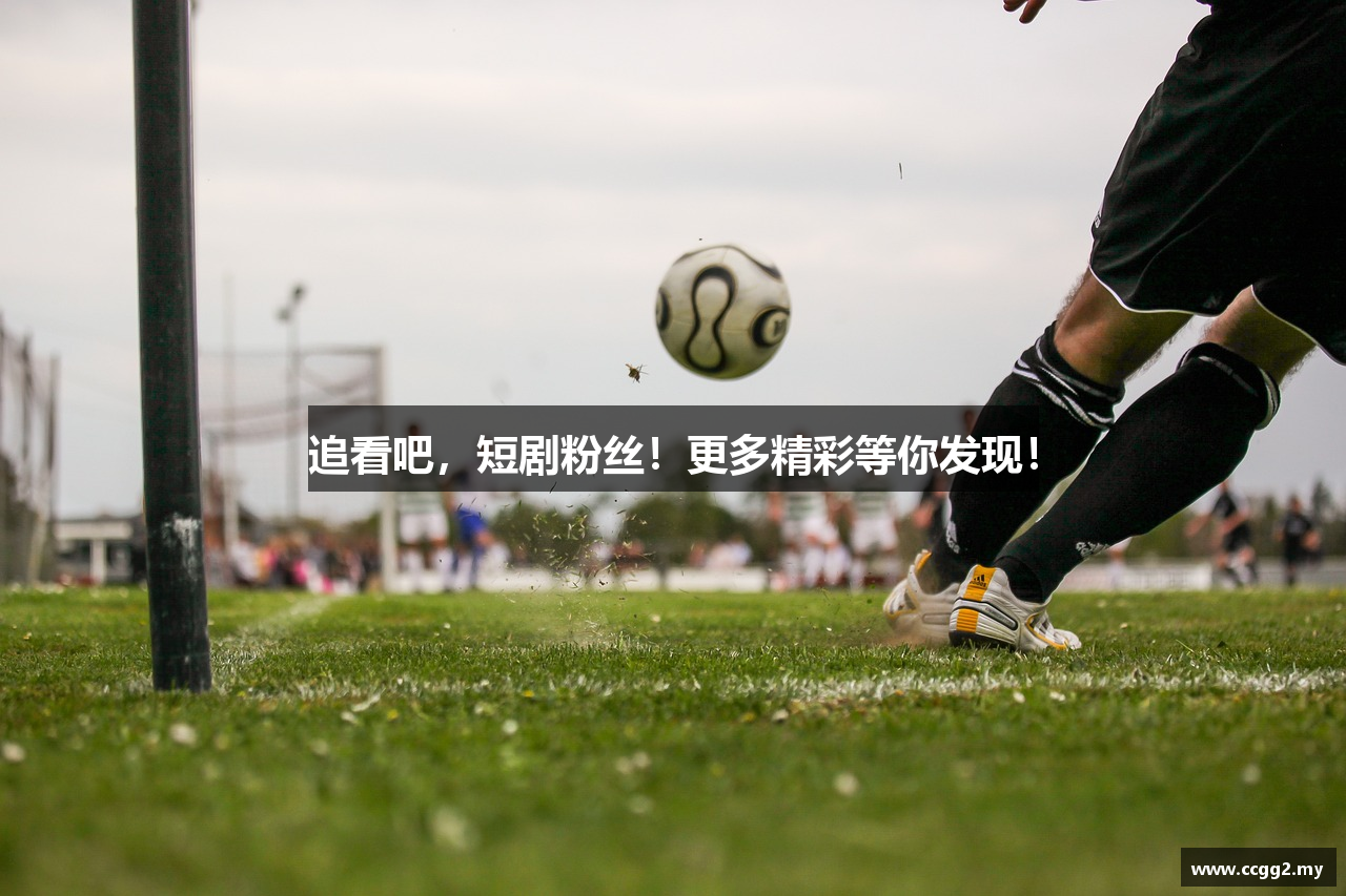 追看吧，短剧粉丝！更多精彩等你发现！